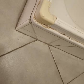 Airbnb Viyana' Da Beni Hayal Kırıklığı Yaratan Daire.