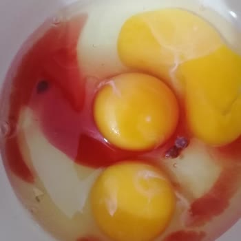 Anadolu Çiftliği Yumurtada Yaşanan Skandal