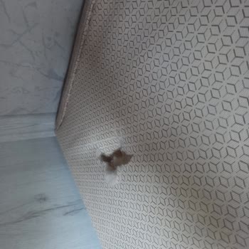 Ceylankaravil Şubesi Bellona Çalışanları Terbiyesizliği