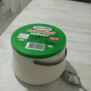 Hakmar Gıda Safgül Manda Sütlü Yoğurt