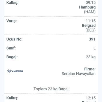 Air Serbia Valizim Yok... Bir Çözüm Arıyorum.