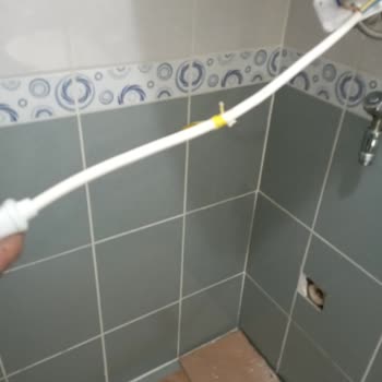 Baymak Teşhir Ürünü Gönderilmesi