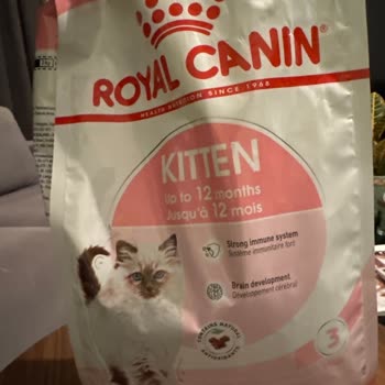 Royal Canin Tüy Dökülmesine Neden Oluyor