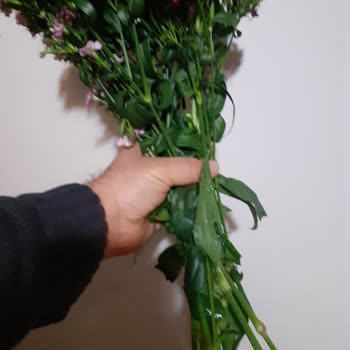 ÇiçekSepeti Sipariş Ettiğim Miktardaki Çiçek Sayısı Gelmedi