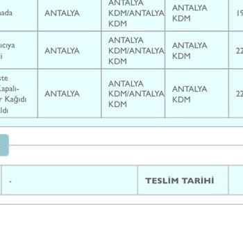 PTT Kargo Teslimat Sorunlarına Dair Şikayetler