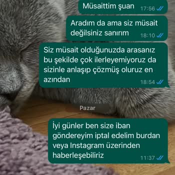 Organizasyona Dair Herşey (organizasyonadairhersey_) Siparişleri Göndermiyorlar Ödeme Aldıktan Sonra