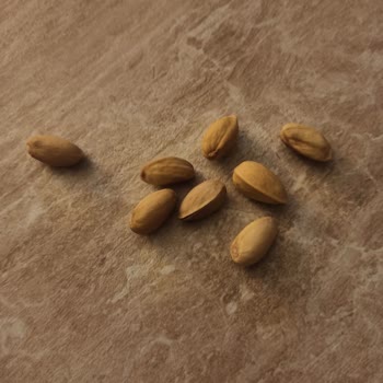 Simbat Siirt Antep Fıstığı