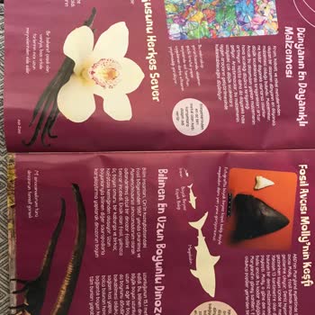 TÜBİTAK Bilim Çocuk Dergisi Yeni Sayılarını Eski Sayılardan Kopyalıyor