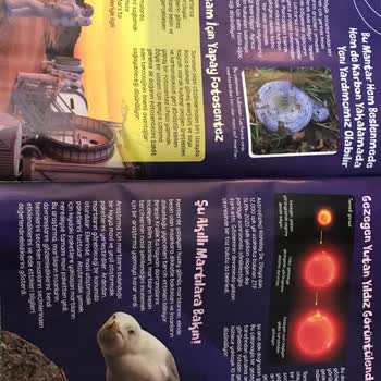 TÜBİTAK Bilim Çocuk Dergisi Yeni Sayılarını Eski Sayılardan Kopyalıyor