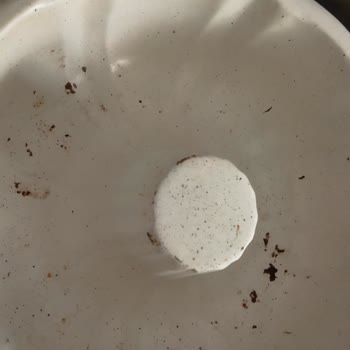 Schafer Kek Kalıpları Paslanıyor