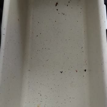 Schafer Kek Kalıpları Paslanıyor