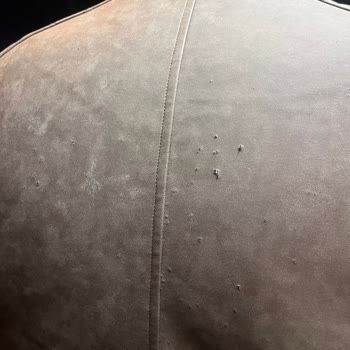 Sopung Kore Restoranı Sopung Kore'de Kediler Montumu Yırttı