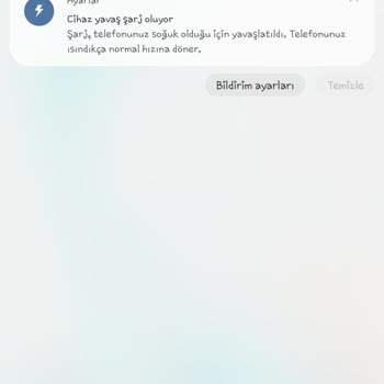 Samsung Telefon Samsung Şarj Olma Problemi