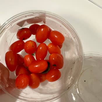 Getirin İşe Yaramayan Canlı Destek Ekibi