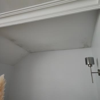 Türkiye Sigorta Mağdur Ediyor!