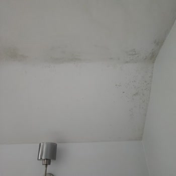 Türkiye Sigorta Mağdur Ediyor!