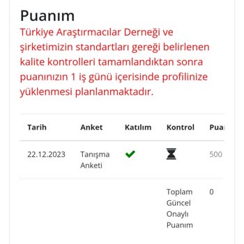Sia Insight Puanım Gelmedi