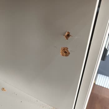 Weltew Home Girne Takımı Sunta Çıktı
