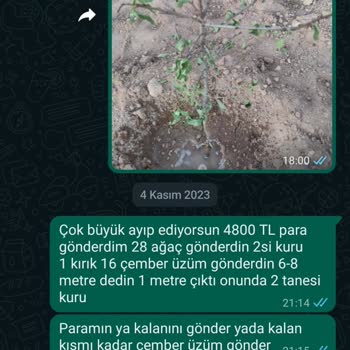 Özyurt Fidancılık Ö***** Fidancılık Ürünleri Kuru Ya Da Hiç Göndermiyor