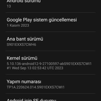 Samsung S22 Android 14 One Uı 6
