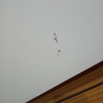 Hoover Servis Ve Arıza