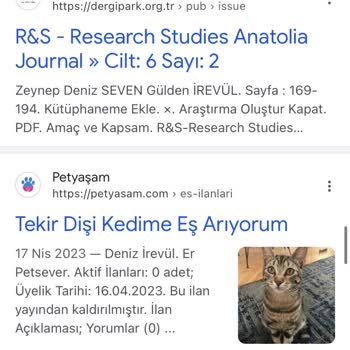 Petyasam.com Sitesinden Hesabımı Silemiyorum