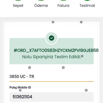 Foxepin.com Sanal Oyun Kredisi Sorunu