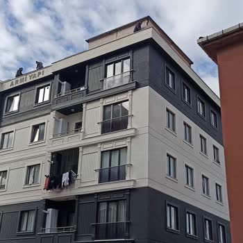 Kartal Belediyesinin İlgisizliği