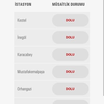 Tüvtürk Araç Muayene Tarihi Alamıyorum
