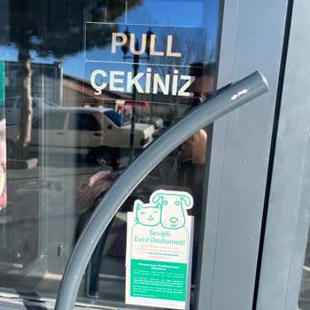 Starbucks Kutusundaki Köpeğimi Almadı