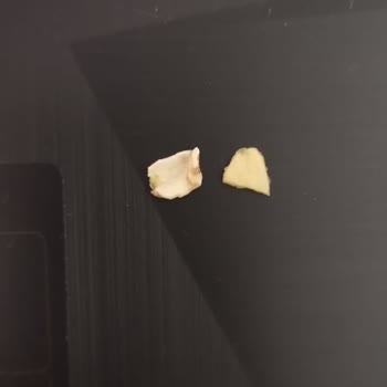 Gelgör Ekmek Ve Unlu Mamuller Baklavanın İçinden Fıstıktan Çok Kabuk Çıkmıştır.