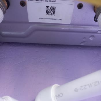 Warmhaus Kombi Servis Hüsranı