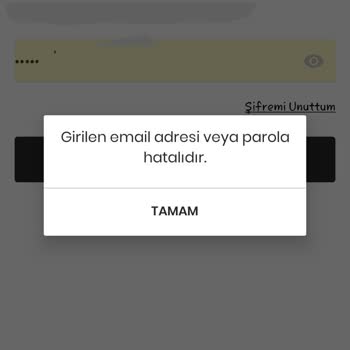 Mavi Şifre Veya E-posta Adresi Hatalı