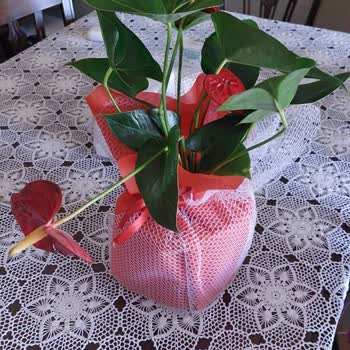 ÇiçekSepeti Firmaya Güvenim Kalmadı