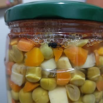 Tukaş Kapalı Garnitür Kutusundan Sinek Çıkması Üzerine Şikayet