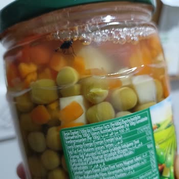 Tukaş Kapalı Garnitür Kutusundan Sinek Çıkması Üzerine Şikayet