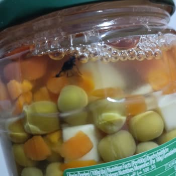 Tukaş Kapalı Garnitür Kutusundan Sinek Çıkması Üzerine Şikayet