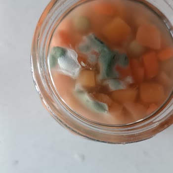 Tat Konserve Garnitür Küflü Çıktı