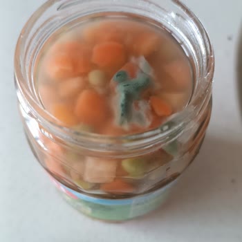 Tat Konserve Garnitür Küflü Çıktı