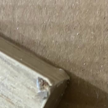 Vivense Hasarlı Yemek Masası