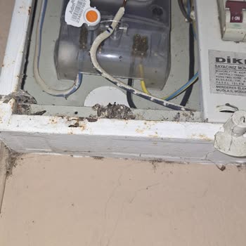 ADM Elektrik Dağıtım Elektrik Kesintisi Ve İddia Edilen Kaçak Kullanım Mağduriyeti