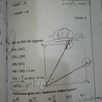 MEB İn Kitabındaki Hatalar
