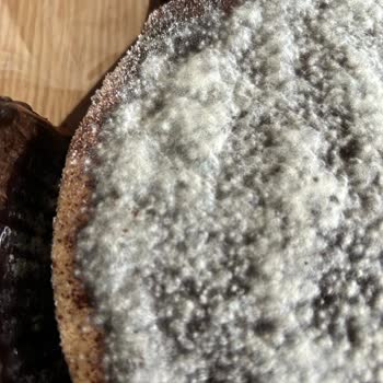 BİM Marketlerinden Aldığım Tiramisu Küflü Çıktı