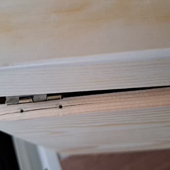 Bauhaus Online Sipariş Beceriksizlik