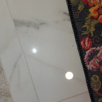 Madame Coco Bornoz Tüyleri Dökülmesi