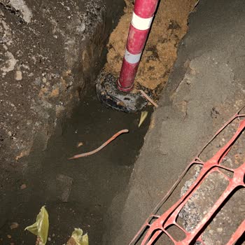 Türk Telekom İnternet Kablolarını Koparmışlar