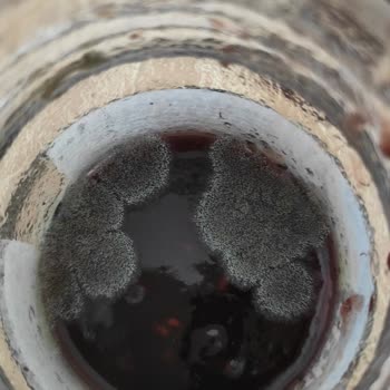 Tukaş Tam Bir Hayal Kırıklığı. Bir Daha Asla Alman Aldırmam...