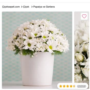 Çiçek Sepeti Mağduriyet