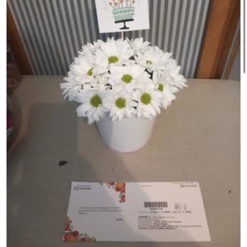 Çiçek Sepeti Mağduriyet