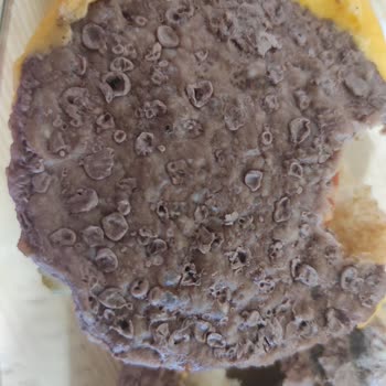Tıkla Gelsin Burger King Bozuk, Kokan, Çiğ Hamburger